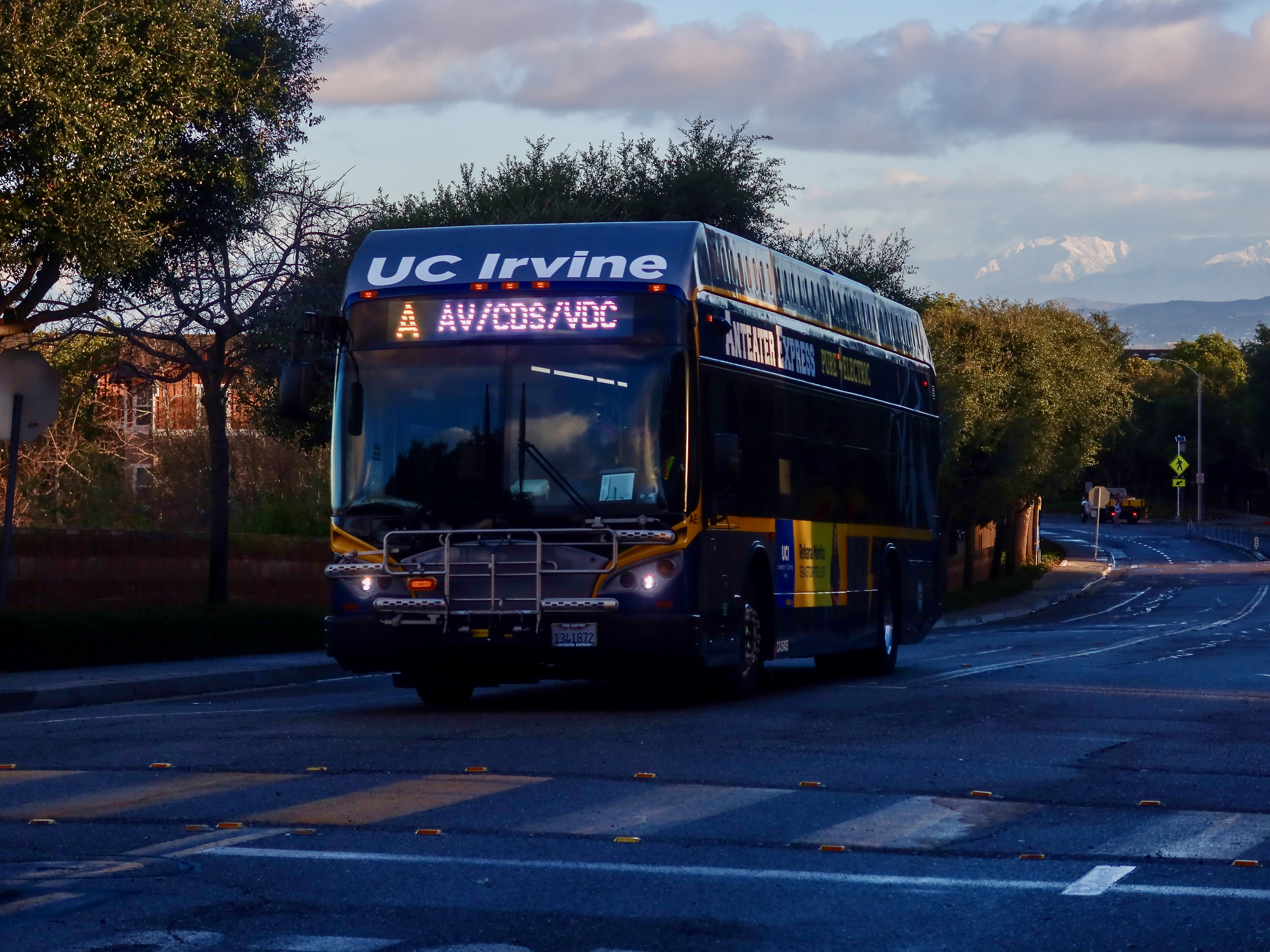 Anteater Express K9M AE-11