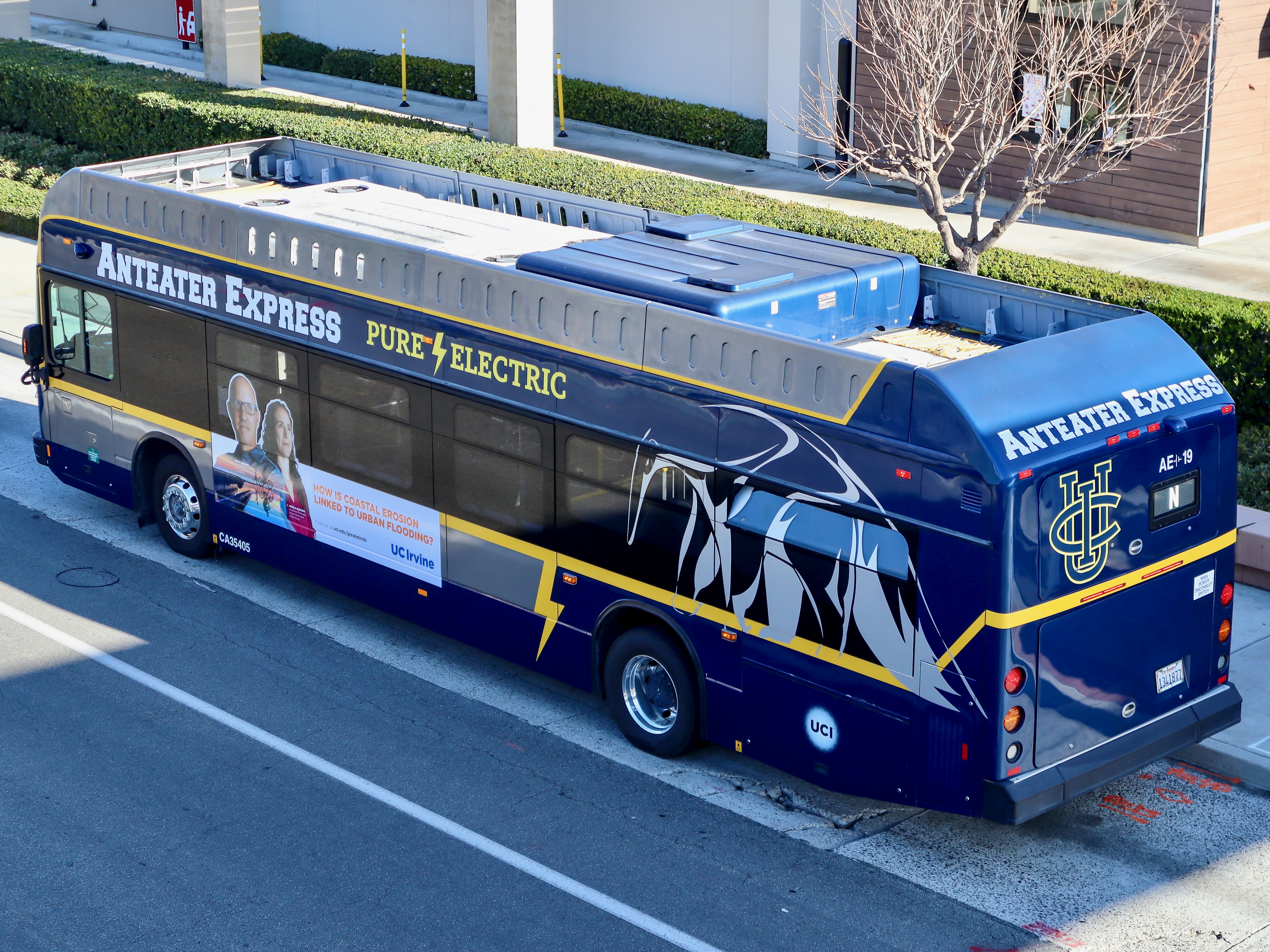 Anteater Express K9M AE-19
