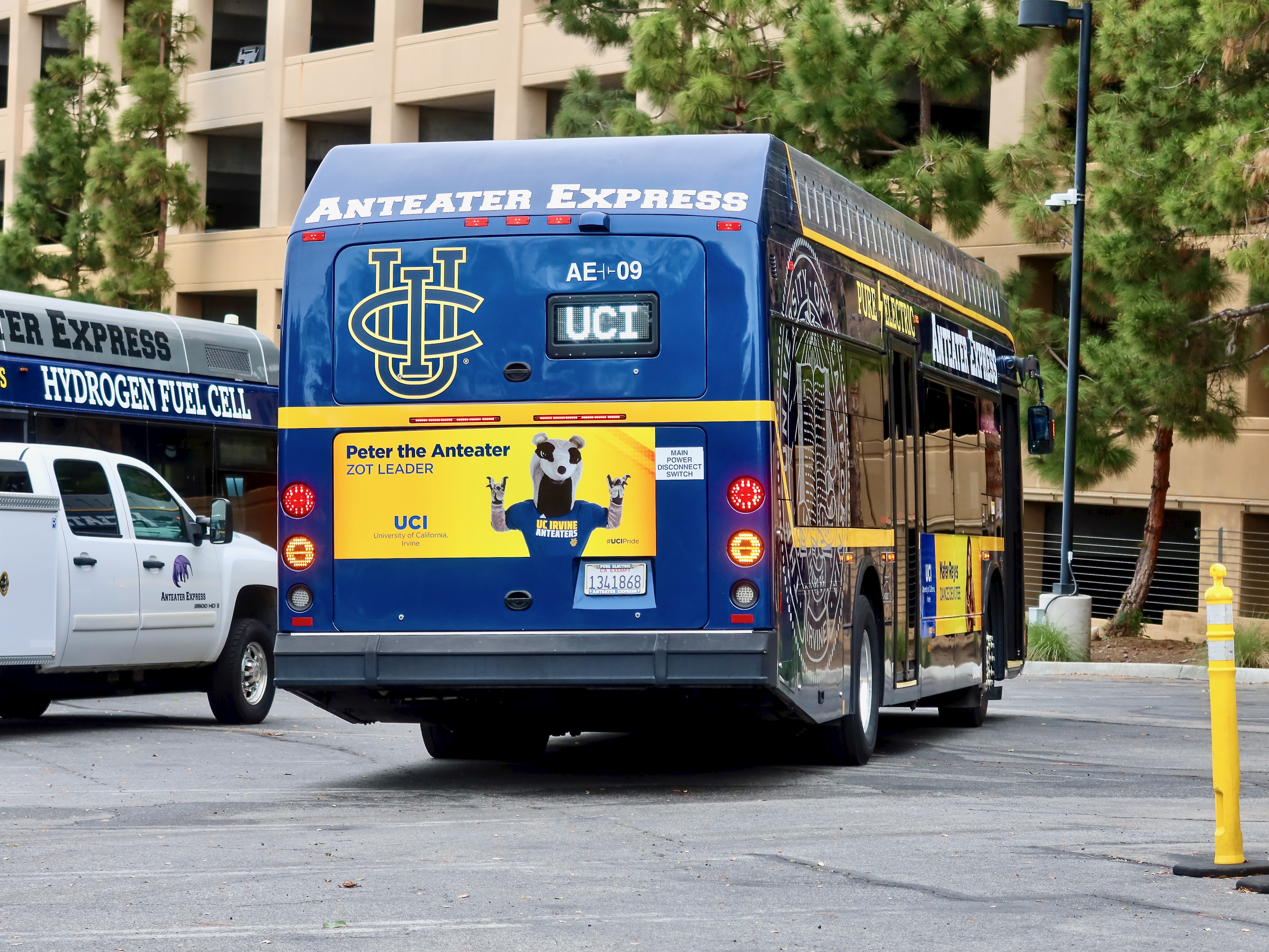 Anteater Express K9M AE-09