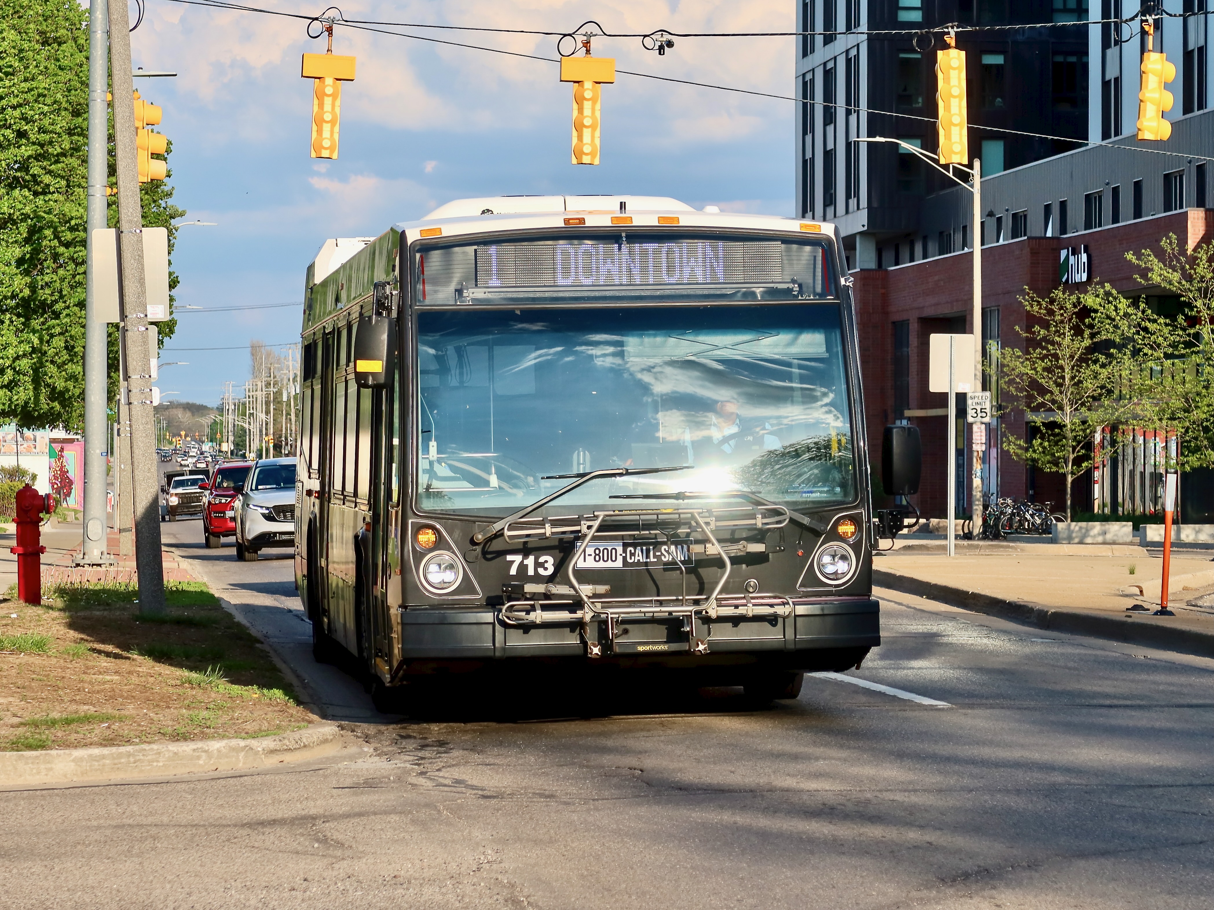 CATA LFS 713