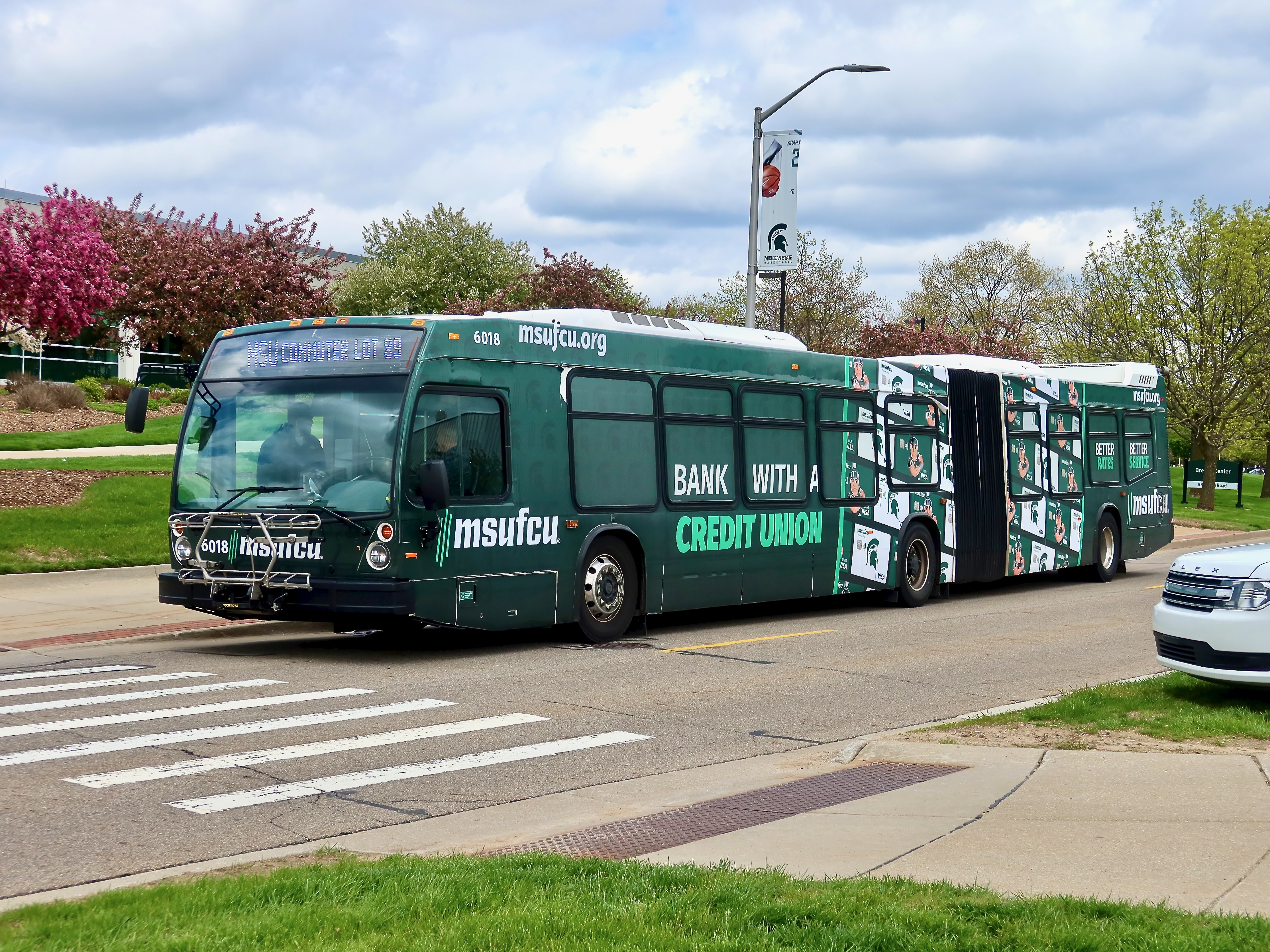 CATA LFS Artic 6018
