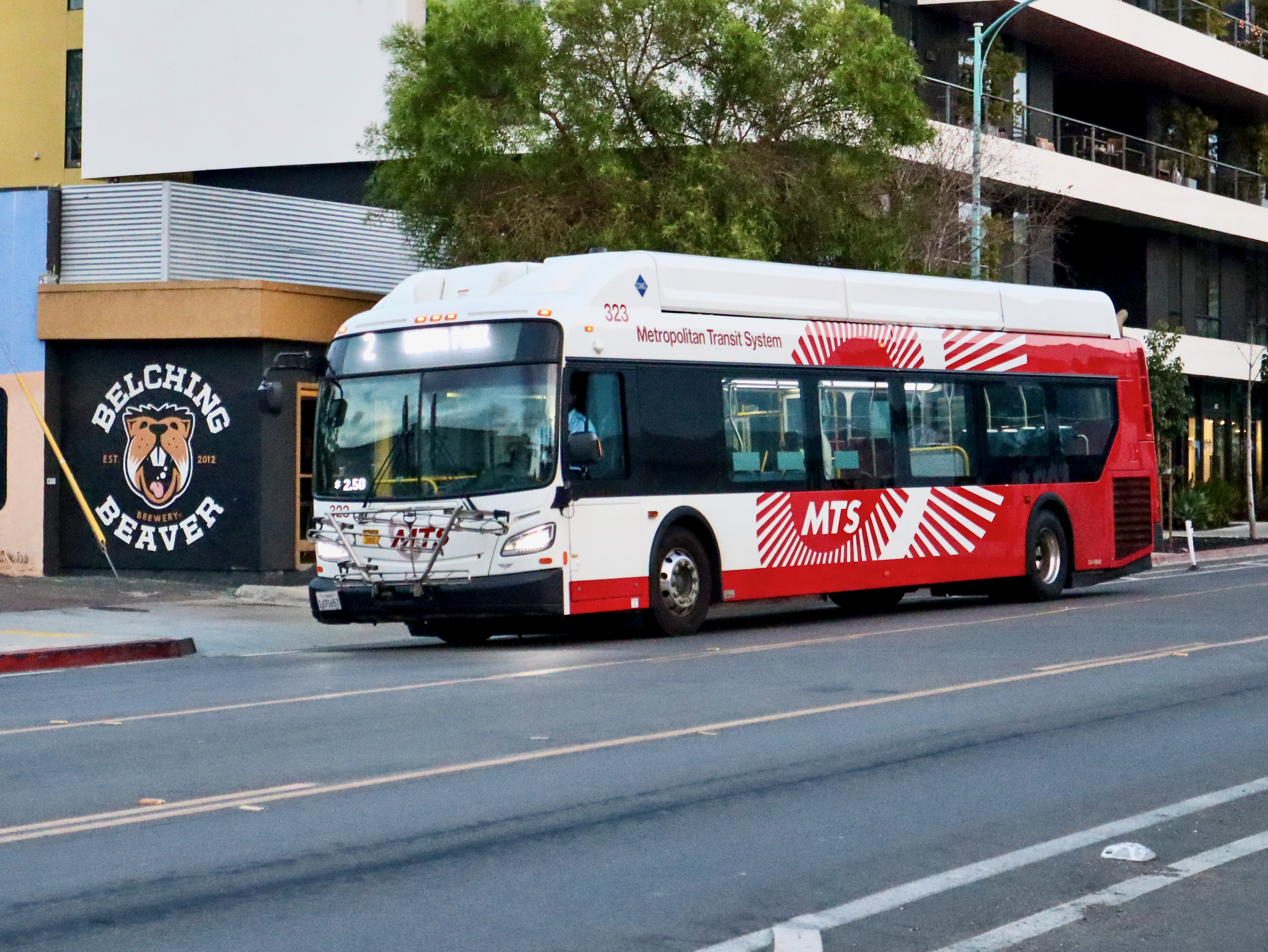 SDMTS XN40 323
