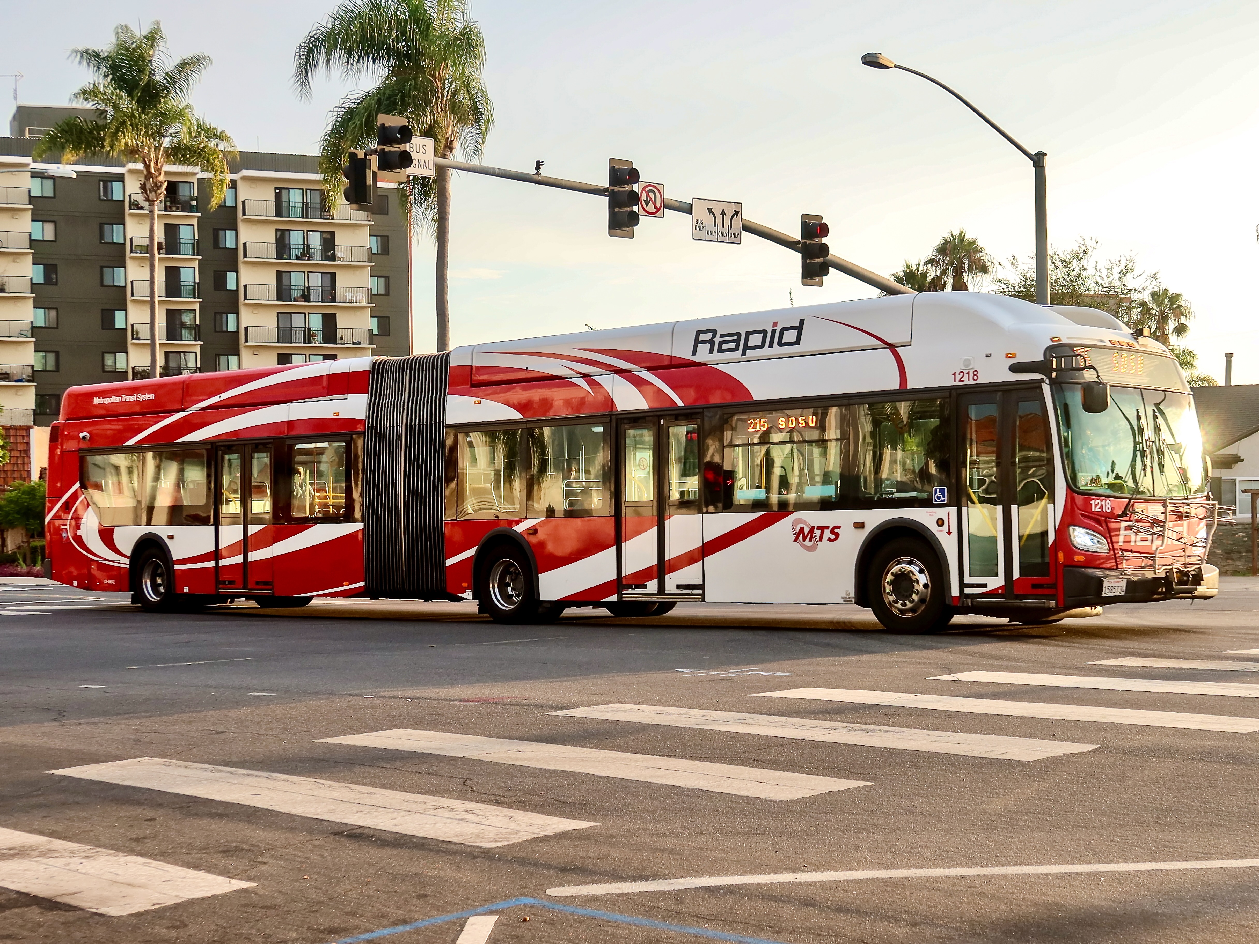 SDMTS XN60 1218