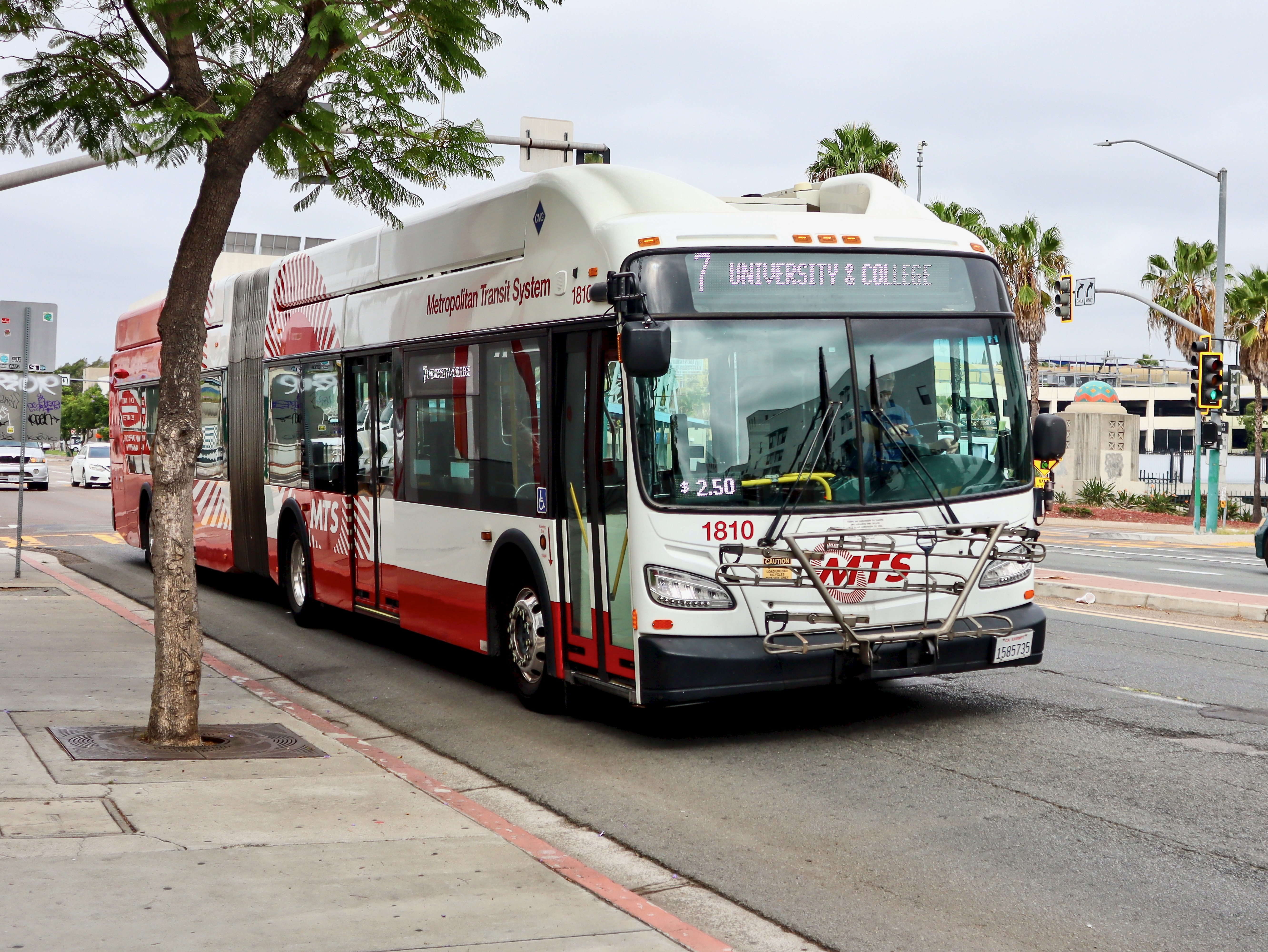 SDMTS XN60 1810